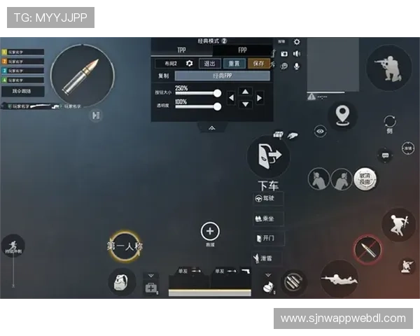 PG国际服地铁逃生游戏下载遇到问题？专家为你提供详细解决方案和技巧