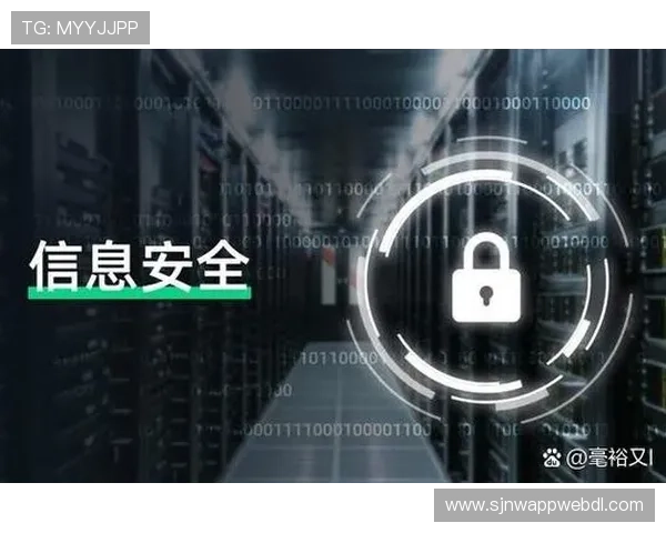 PG娱乐备用网址如何确保玩家信息安全与账号安全的详细措施