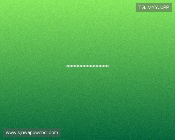新西兰对阵埃及在世界杯正式比赛中的球员表现与关键数据统计分析 新西兰对阵埃及在世界杯正式比赛中的球员表现与关键数据统计分析
